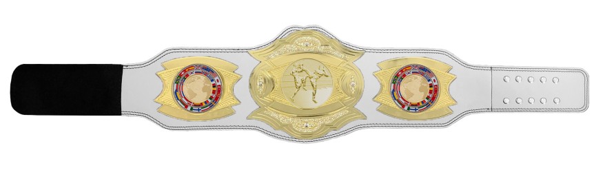 *NEW* PROGEMELITE THAI BOXING CHAMPIONSHIP BELT - PROGEMELITE/G/TBOG *NEW* PROGEMELITE THAI BOXING CHAMPIONSHIP BELT - PROGEMELITE/G/TBOG